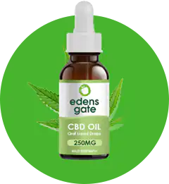 CBD Kits