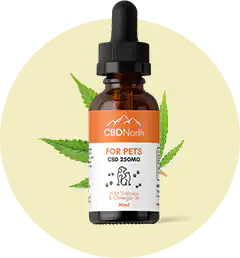 CBD Capsules